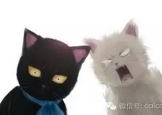 段子来了文字版,黄段网