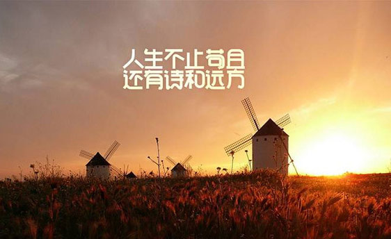 远方不卡眼前的苟且,黄段网