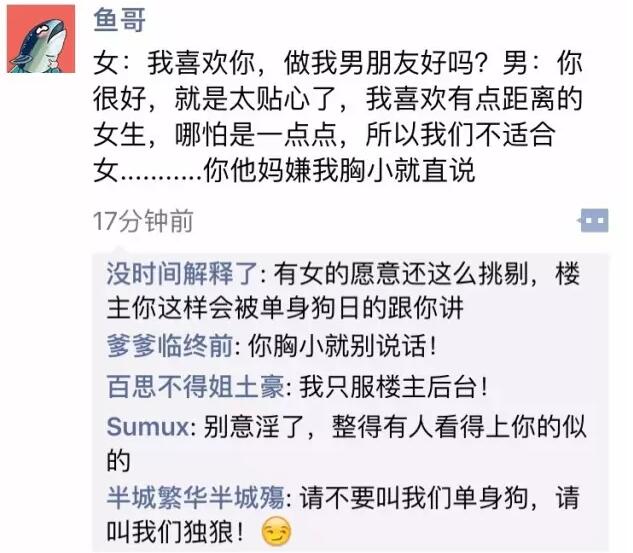 不叫单身狗,叫我独狼,黄段网