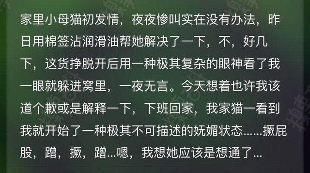 黄段子网,最新段子
