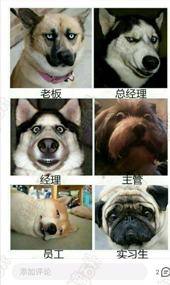 精选黄段子笑话84期,黄段网2017