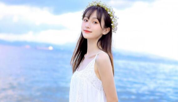 美女，黄段网