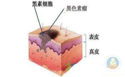 年轻人为什么会长白头发，黄段网