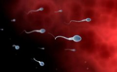 男人备孕期如何才能保持精子活力？